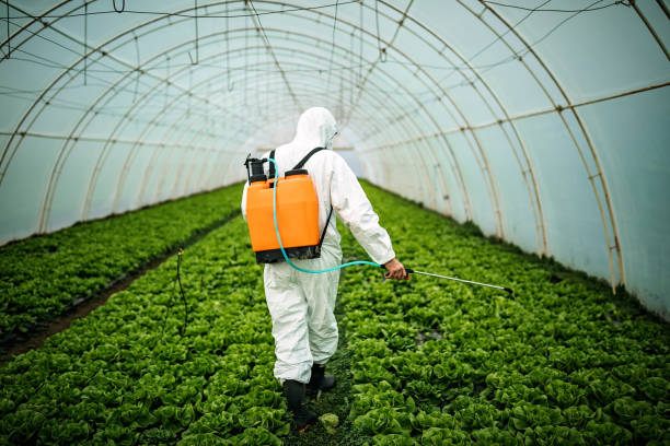 Insect Control in Reiffton, PA