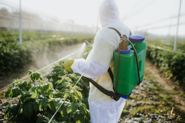 Best Commercial Pest Control Services  in Reiffton, PA